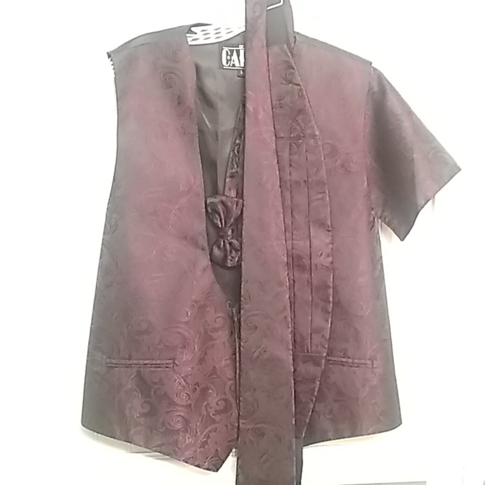 MENS berry tapestry vest set